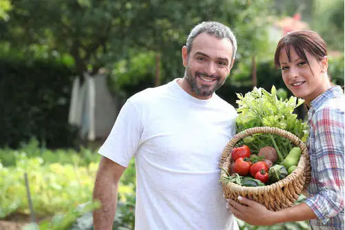 a middle-aged main is standing in his garden holding a basket of fresh picked vegetables